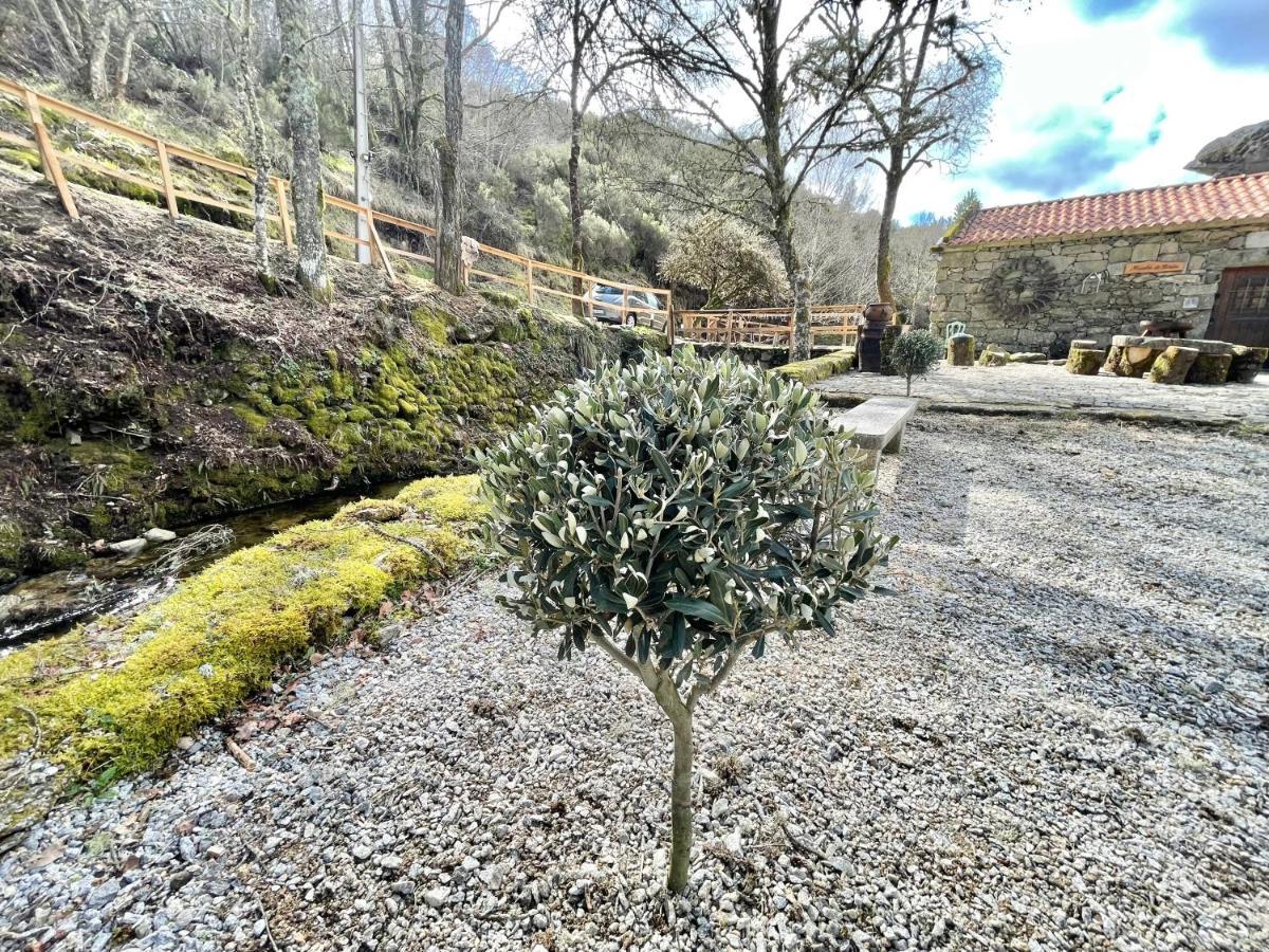 Moinho De Briao Villa Montalegre Eksteriør billede